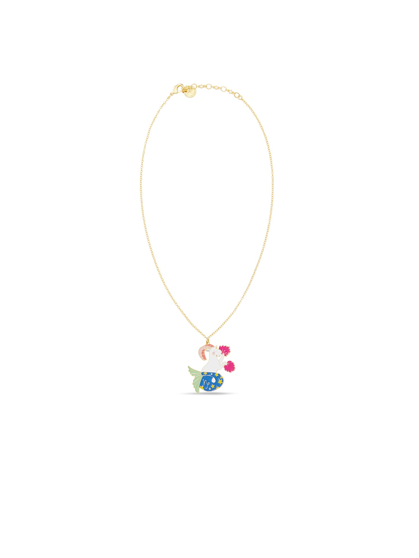 Capricorn Astrological Sign Pendant Necklace | ausa3101