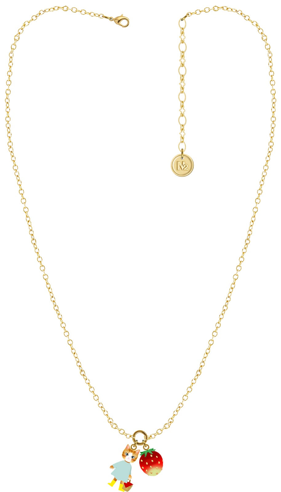 Ginger Cat And Fish, Blue Flower And Raspberry Pendant Necklace | AVHP3041