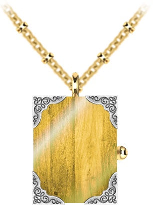 Golden Art Case Pendant Necklace | AVIP3011