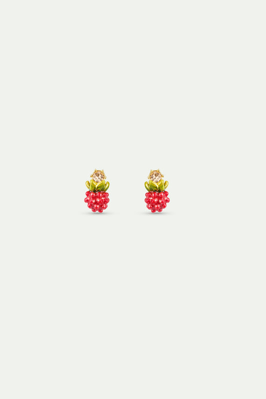 Raspberry And Round Gold Stone Sleeper Earrings | AXAM1081