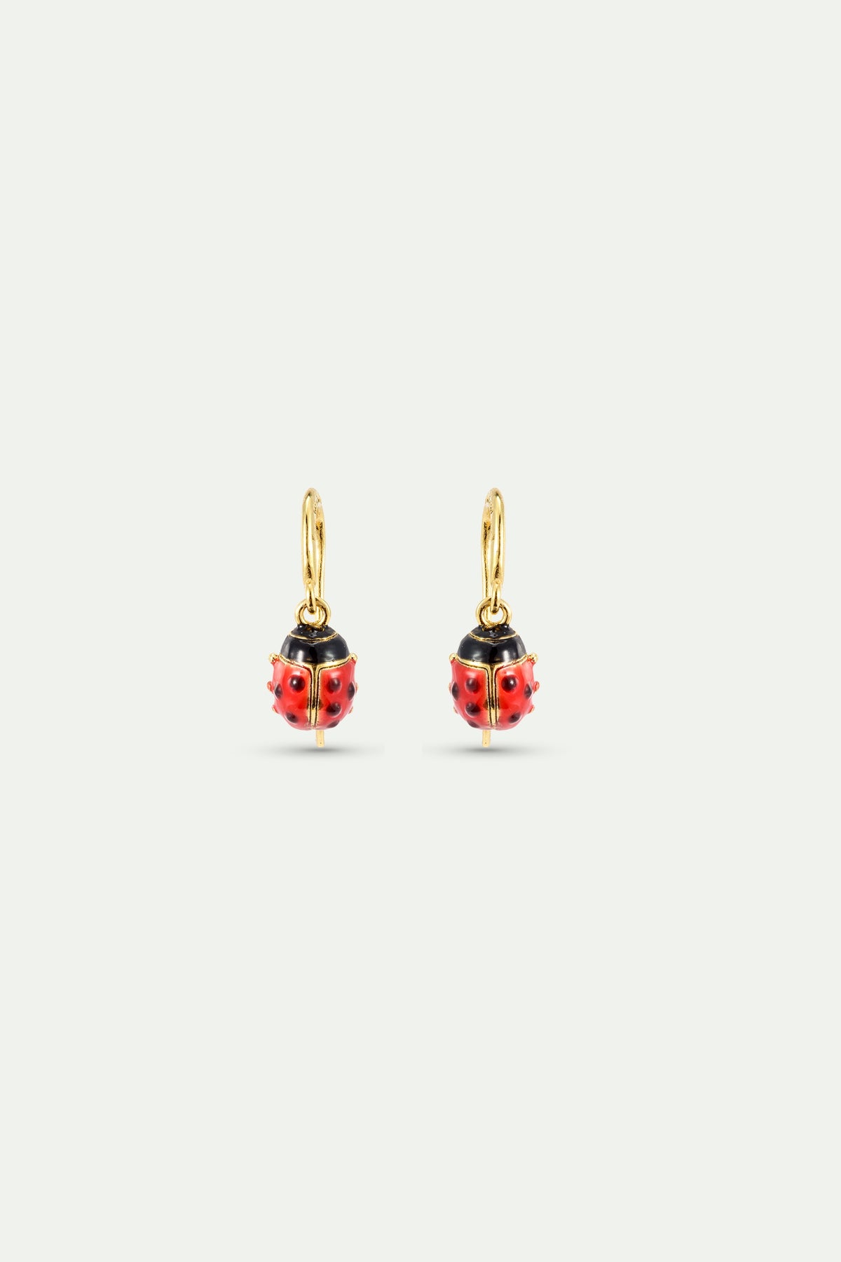 Red And Black Ladybird Hook Earrings | AXLA1011