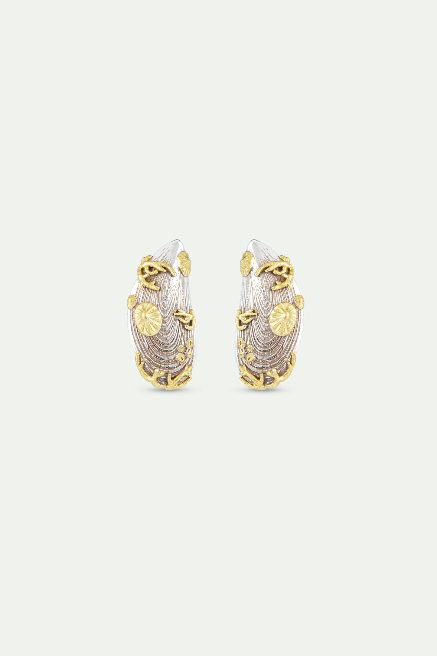 Silver And Gold Mussel Earrings | AXMO1061
