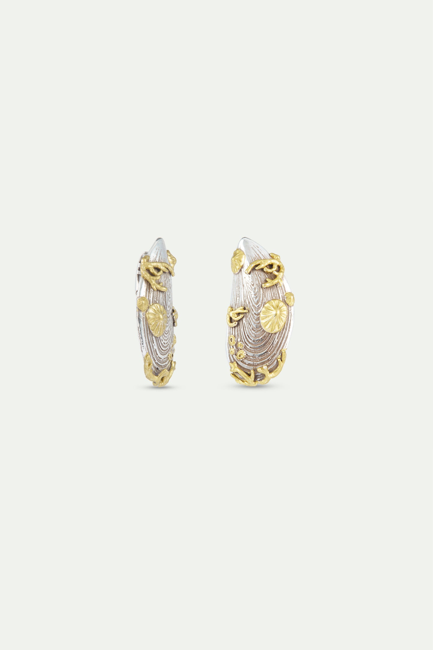 Silver And Gold Mussel Earrings | AXMO1061