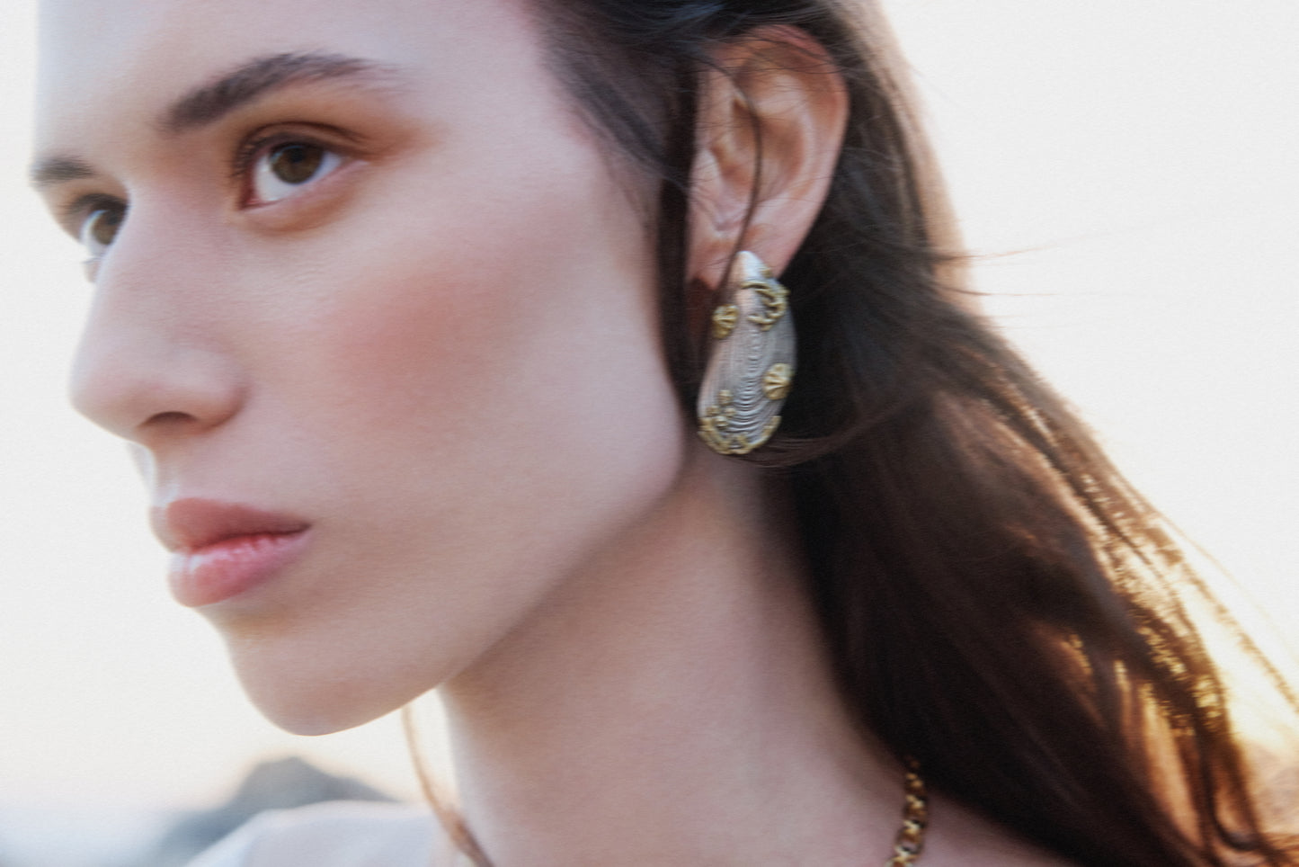 Silver And Gold Mussel Earrings | AXMO1061