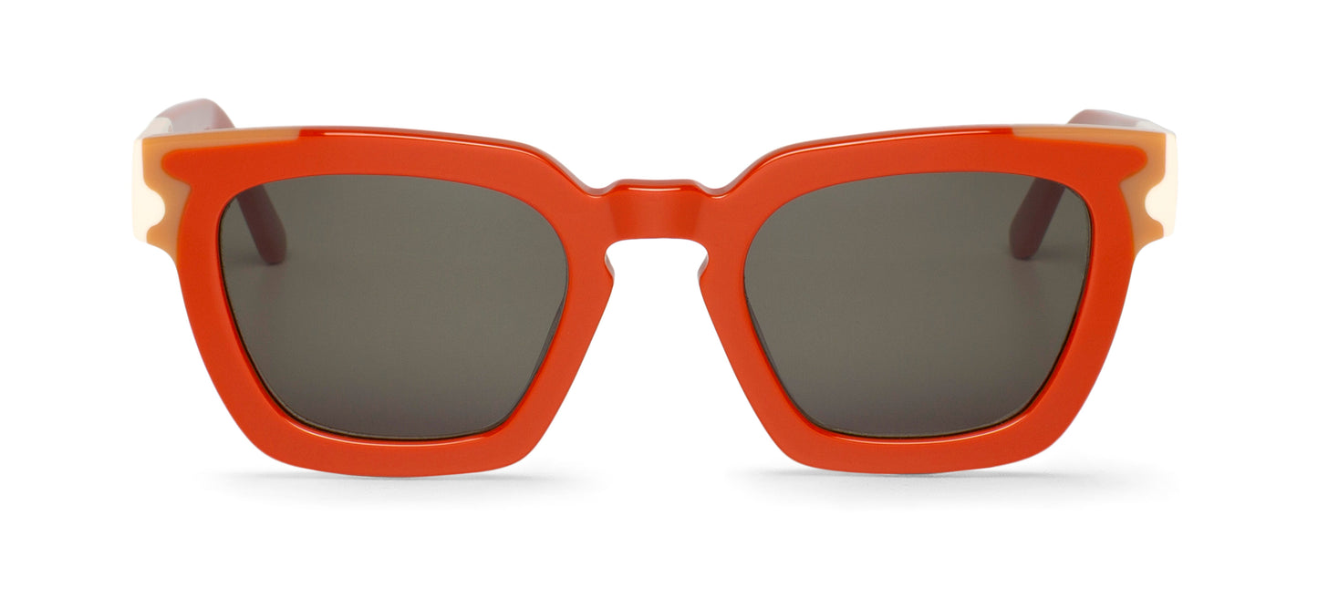 Logan Sunglasses With Classical Lenses