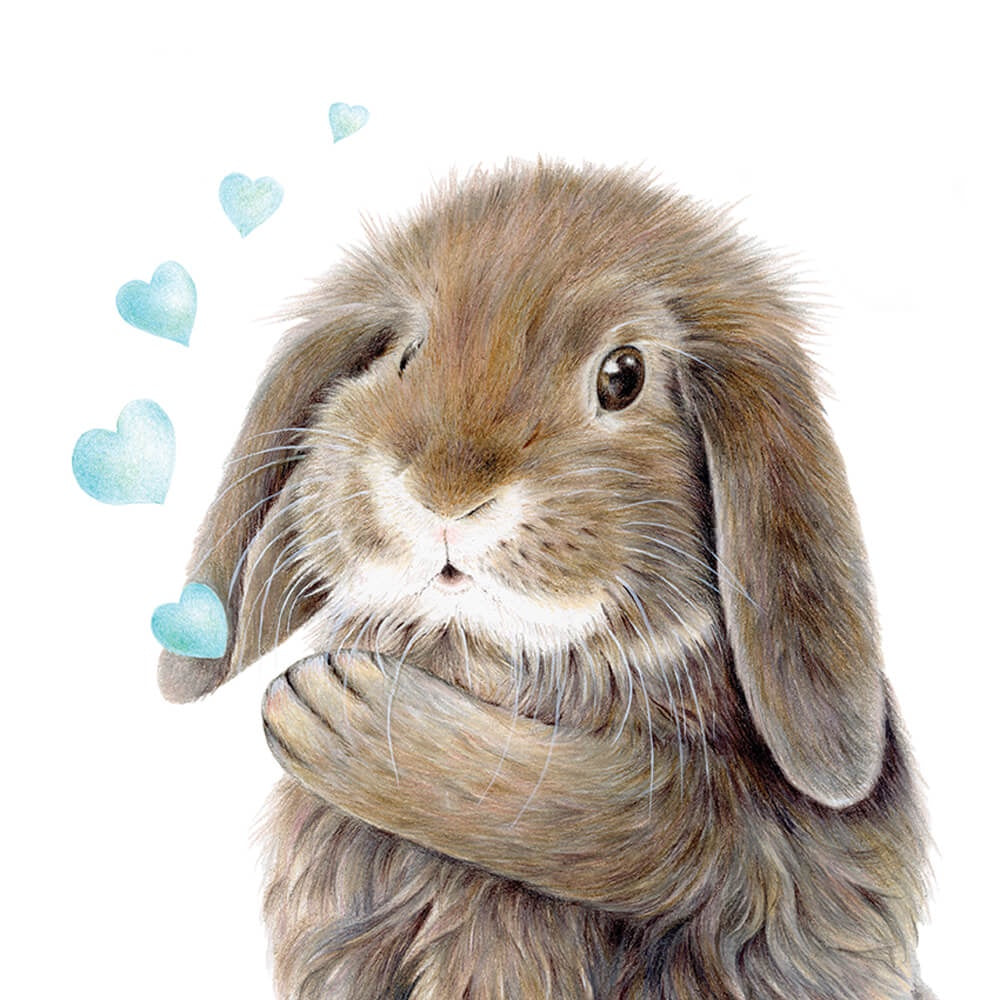 Hello Bunny Blue Hearts