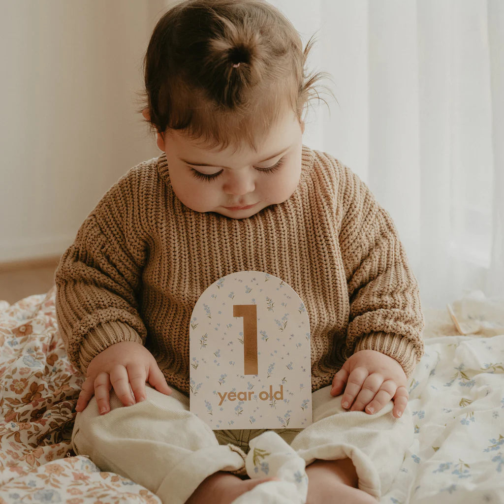 Baby Milestone Cards Broderie
