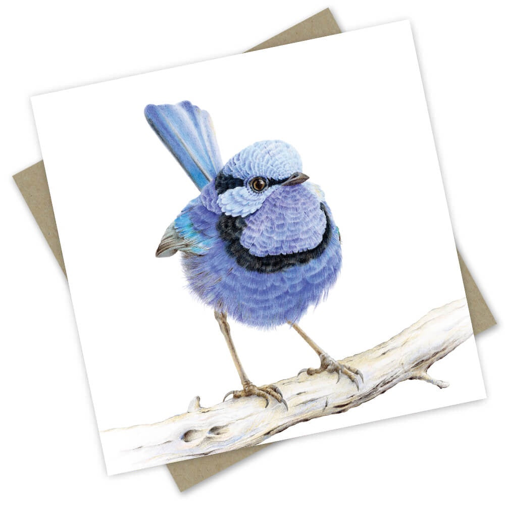 Blue Wren Greeting Card