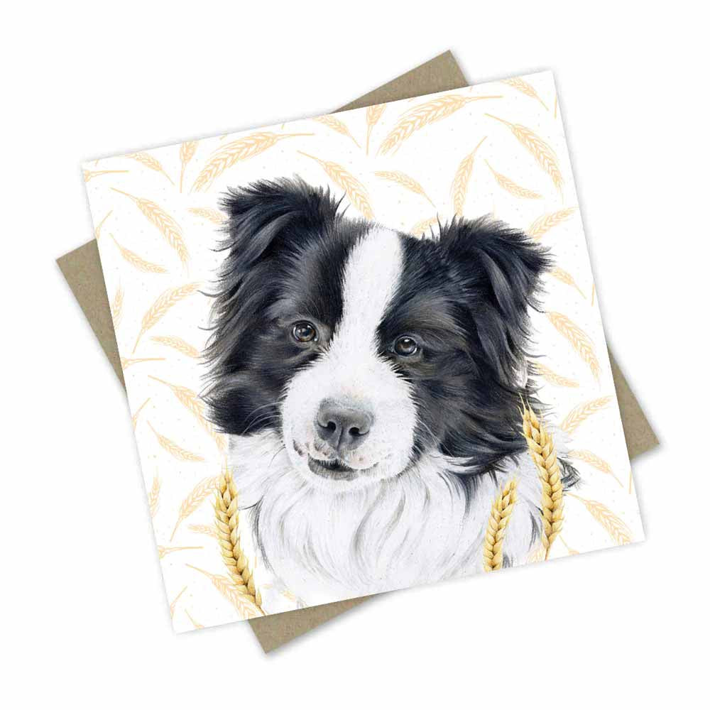 Border Collie Farm Dog Greeting Card