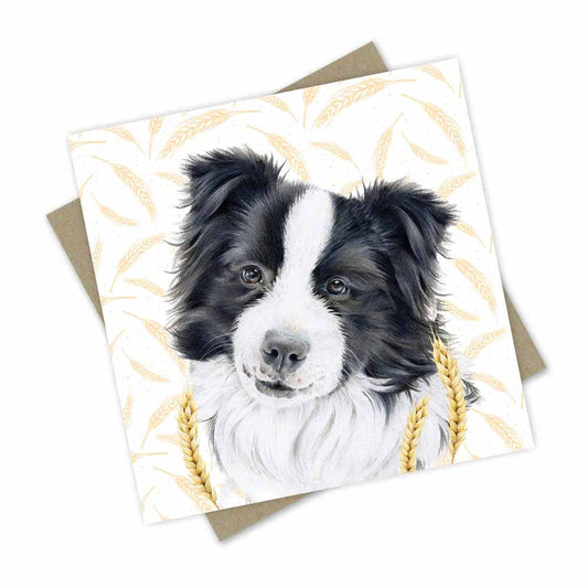 Border Collie Farm Dog Greeting Card
