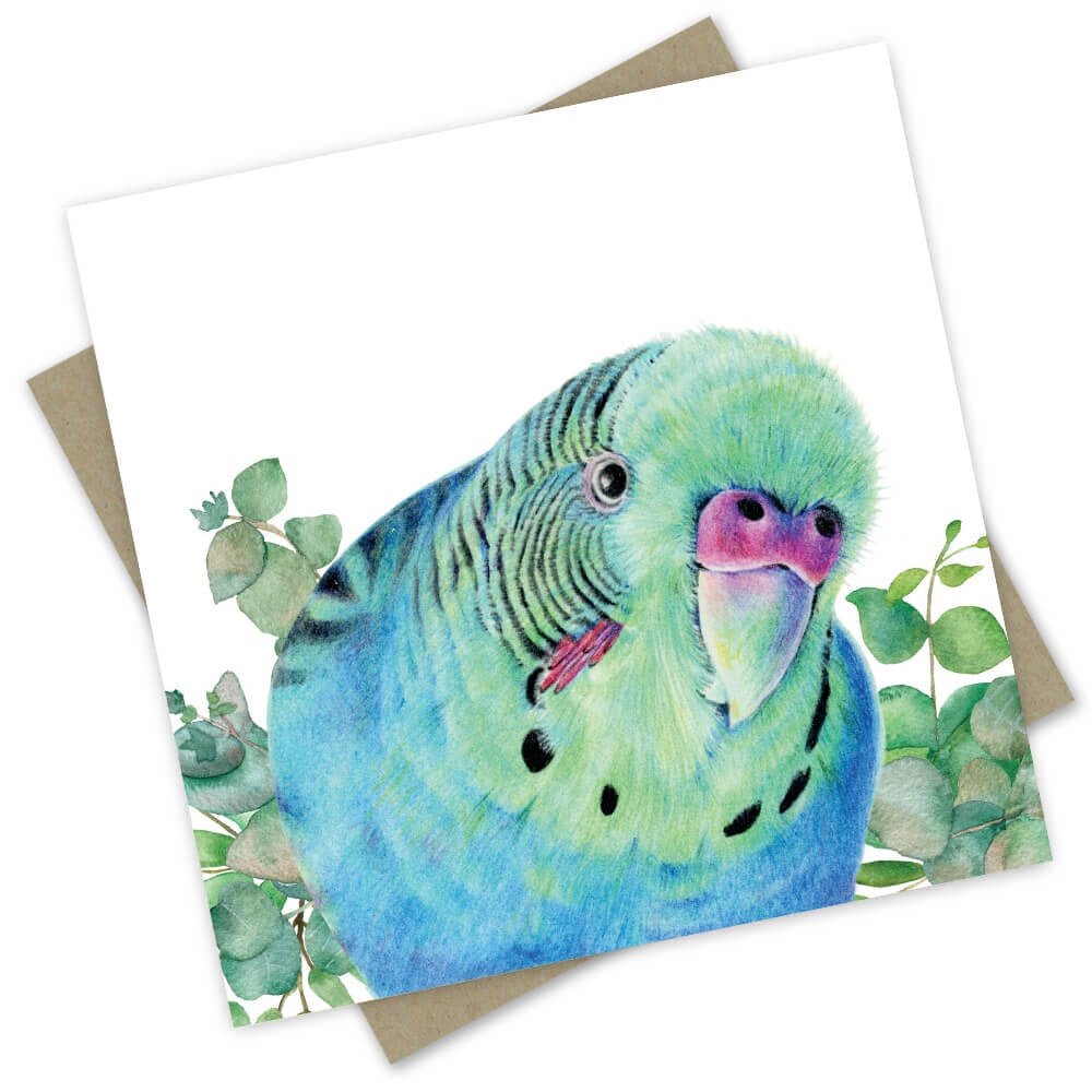 Birrani The Ice Blue Male Parakeet Card