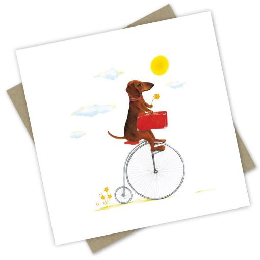 A Sausage Dog Called Seven