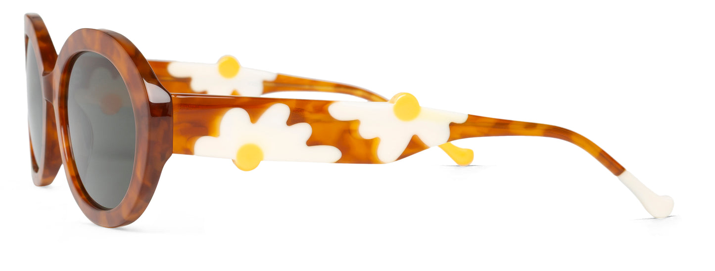 Daisy - 01