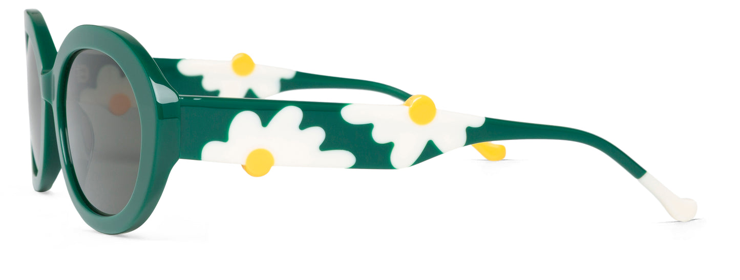 Daisy - 02
