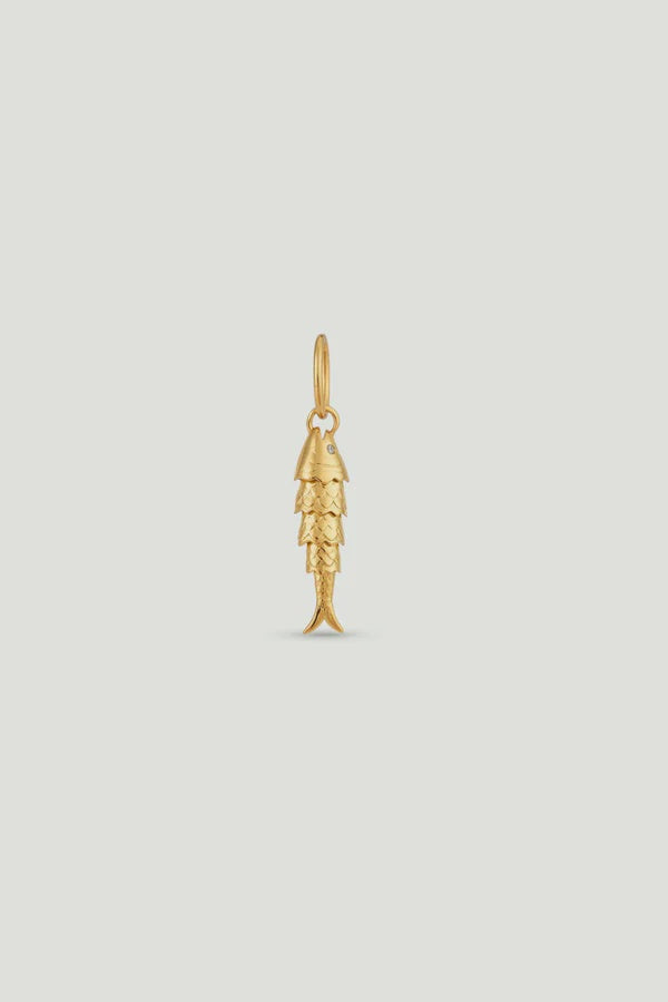 Fish Pendant, Luck And Virtue | AXPE4161