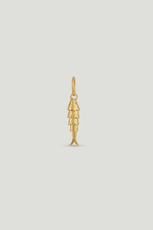 Fish Pendant, Luck And Virtue | AXPE4161