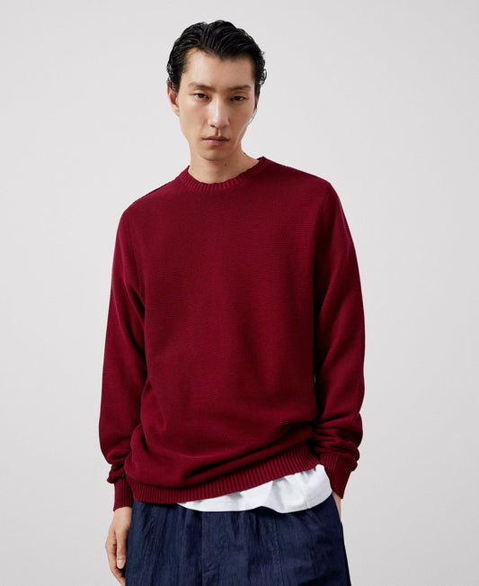 Men Jersey | Maroon Cotton Crew Neck Sweater by Spanish designer Adolfo Dominguez