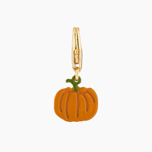Pumpkin Charms Accessories