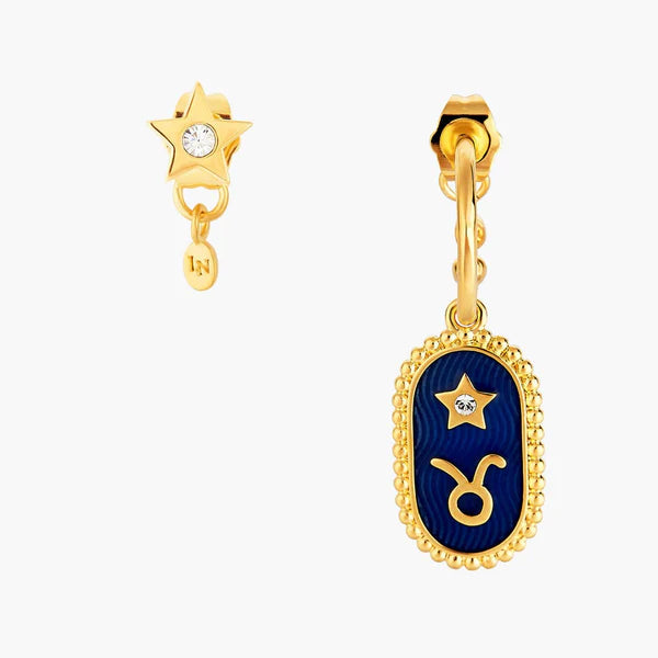 Taurus Zodiac Sign Earrings | ancs1021