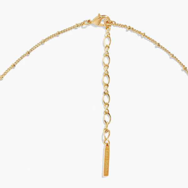 Tiger Eye And Gold Links Statement Necklace | aptm3041