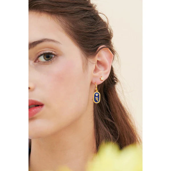 Pisces Zodiac Sign Earrings | ANCS1121