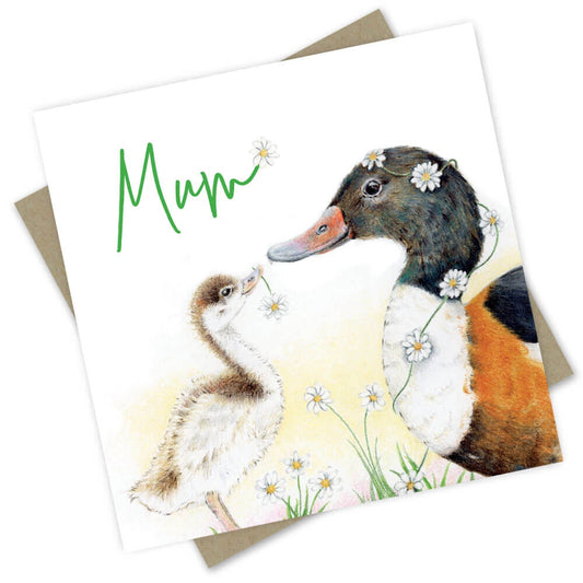 Mum Ducks