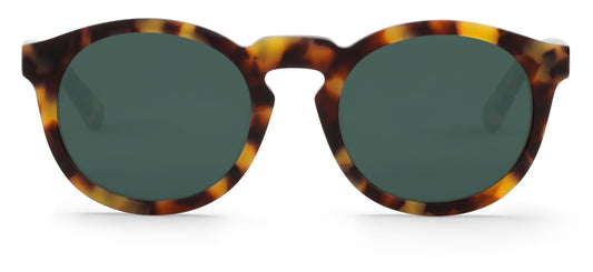 High Contrast Tortoise Jordaan With Classical Lenses